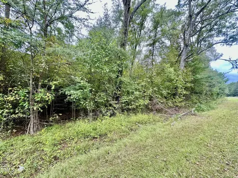 18.2 Acres Range Road Rougemont NC 27572