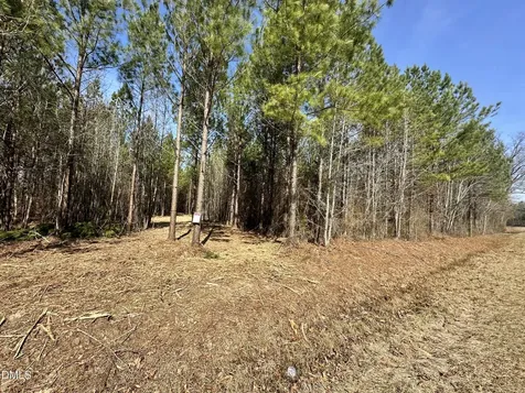 18.2 Acres Range Road Rougemont NC 27572