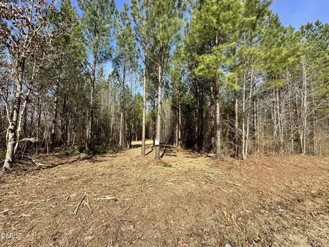 18.2 Acres Range Road Rougemont NC 27572