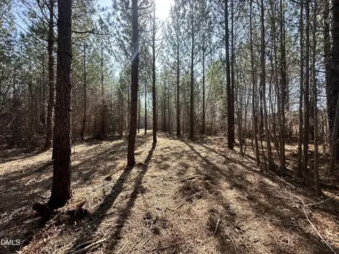 18.2 Acres Range Road Rougemont NC 27572