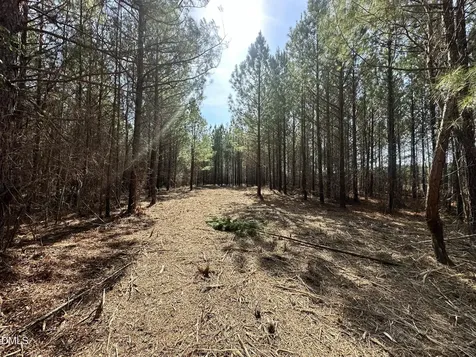18.2 Acres Range Road Rougemont NC 27572