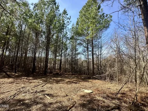 18.2 Acres Range Road Rougemont NC 27572