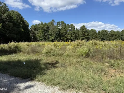 3718 Hinton Mill Court Franklinton NC 27525