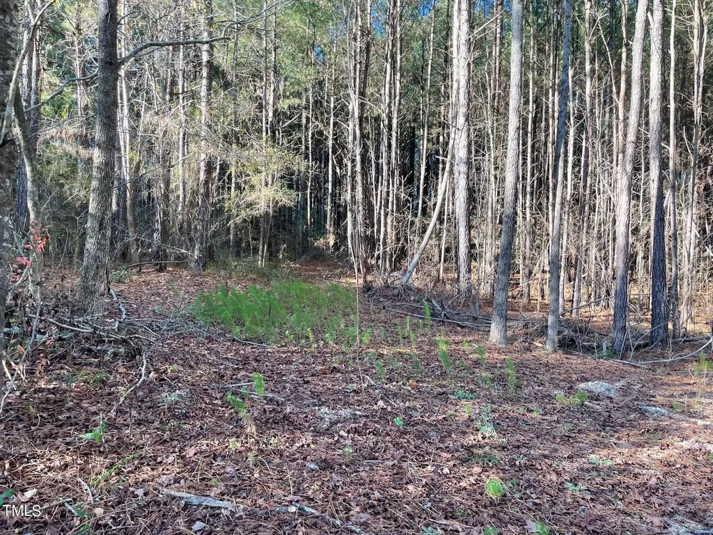 0 Turlington Road Dunn NC 28334
