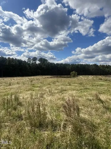 1925 Bunnlevel Erwin Road Bunnlevel NC 28323
