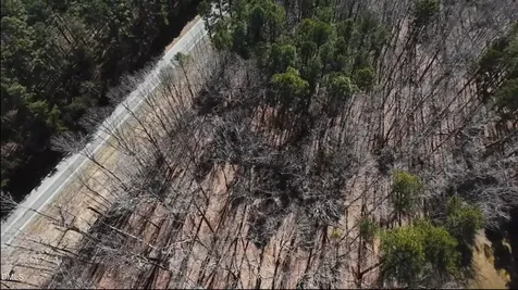 0 Nc-86 Hillsborough NC 27278