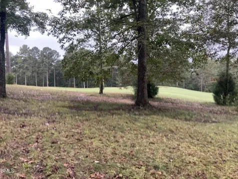 217 Cabin Creek Pittsboro NC 27312