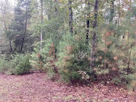 217 Cabin Creek Pittsboro NC 27312