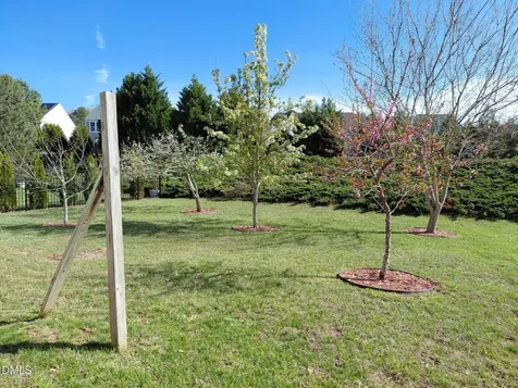 12554 Honeychurch Street Raleigh NC 27614