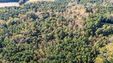 Lot 2 Martin Lane Spring Hope NC 27882
