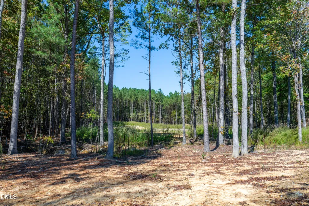 185 Larkington Drive Siler City NC 27344