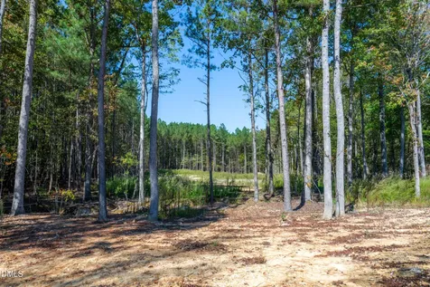 185 Larkington Drive Siler City NC 27344