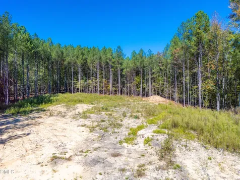 185 Larkington Drive Siler City NC 27344