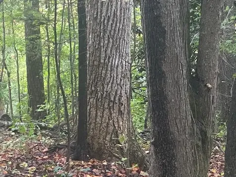 1417 Poinsett Drive Chapel Hill NC 27517