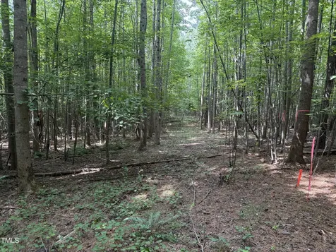 3287 Runner Stone Lane Franklinton NC 27525
