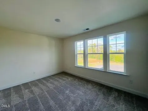 81 Pinon Drive Angier NC 27501