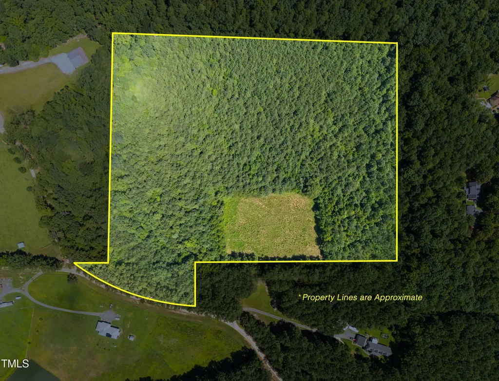 1096 Kadir Womble Drive New Hill NC 27562