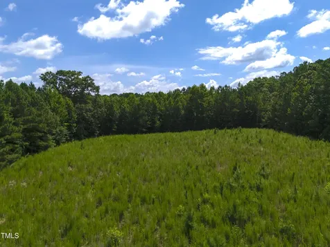 1096 Kadir Womble Drive New Hill NC 27562