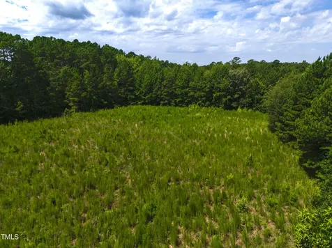 1096 Kadir Womble Drive New Hill NC 27562