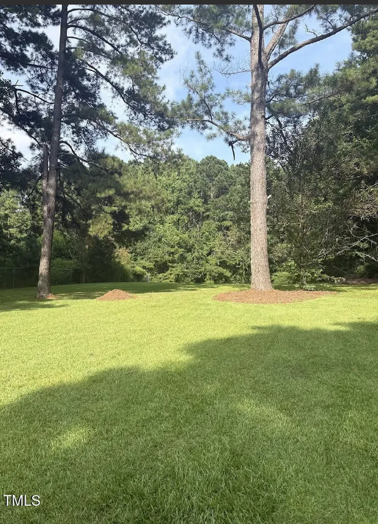 10329 Fanny Brown Road Raleigh NC 27603