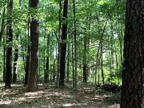 5663 Nc Highway 751 Apex NC 27523
