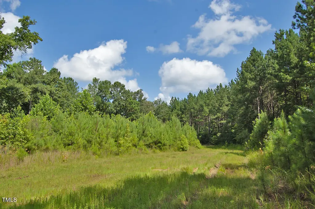 0 Buckhorn Road Bullock NC 27507