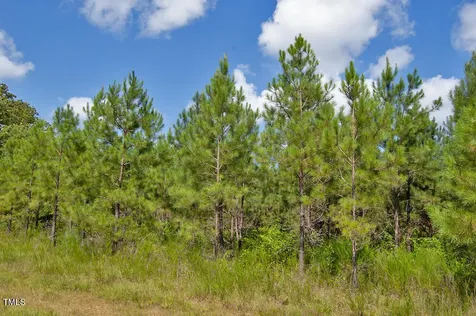 0 Buckhorn Road Bullock NC 27507