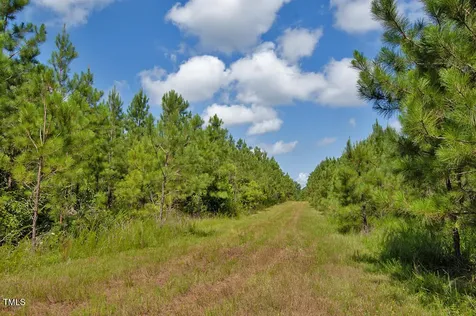 0 Buckhorn Road Bullock NC 27507