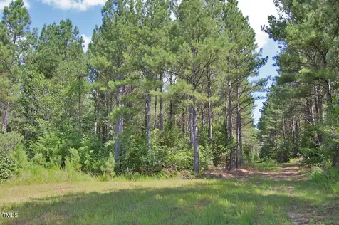 0 Buckhorn Road Bullock NC 27507