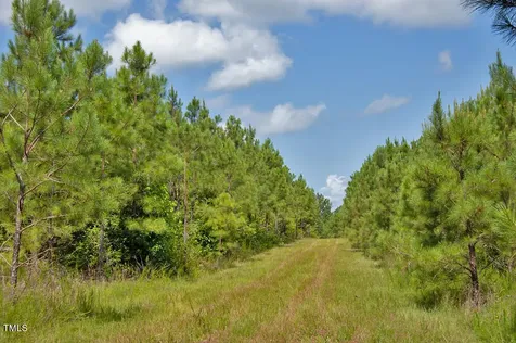 0 Buckhorn Road Bullock NC 27507