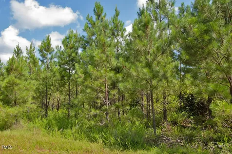 0 Buckhorn Road Bullock NC 27507