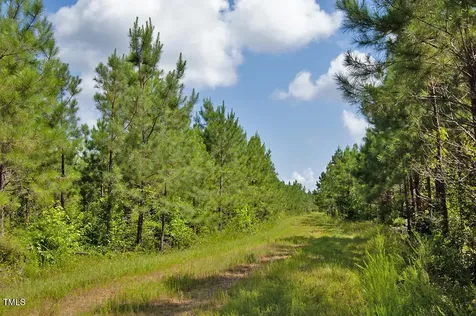 0 Buckhorn Road Bullock NC 27507