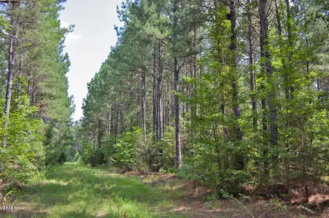 0 Buckhorn Road Bullock NC 27507