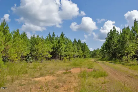 0 Buckhorn Road Bullock NC 27507