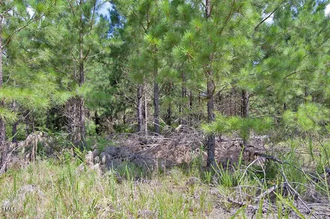0 Buckhorn Road Bullock NC 27507