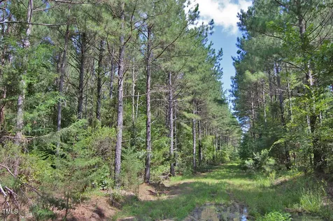 0 Buckhorn Road Bullock NC 27507