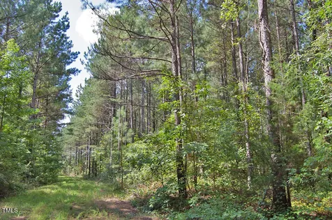 0 Buckhorn Road Bullock NC 27507