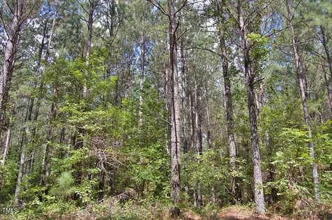 0 Buckhorn Road Bullock NC 27507
