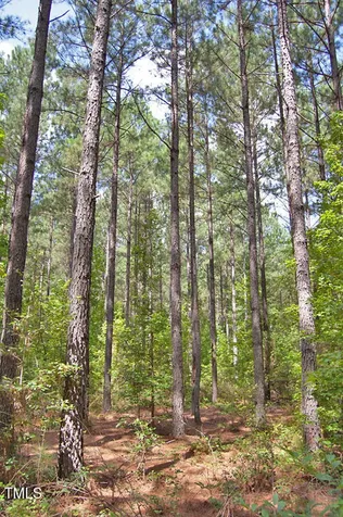 0 Buckhorn Road Bullock NC 27507