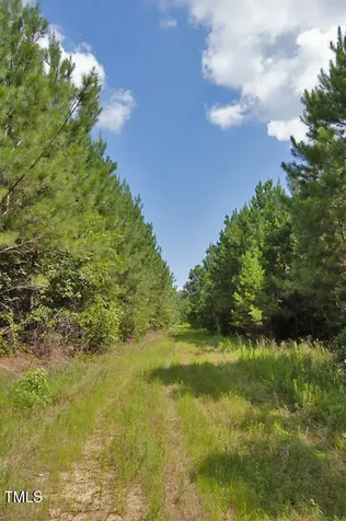 0 Buckhorn Road Bullock NC 27507