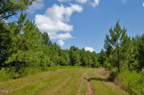 0 Buckhorn Road Bullock NC 27507