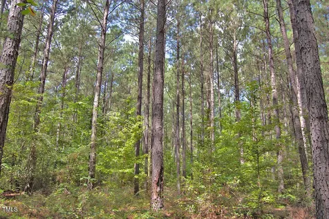 0 Buckhorn Road Bullock NC 27507