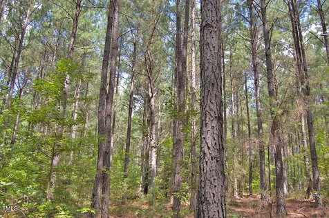 0 Buckhorn Road Bullock NC 27507