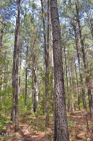 0 Buckhorn Road Bullock NC 27507
