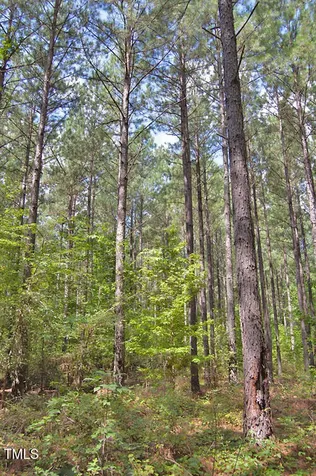 0 Buckhorn Road Bullock NC 27507