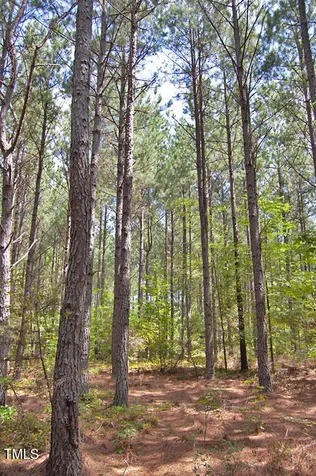 0 Buckhorn Road Bullock NC 27507