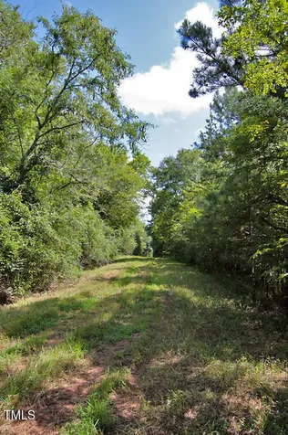 0 Buckhorn Road Bullock NC 27507