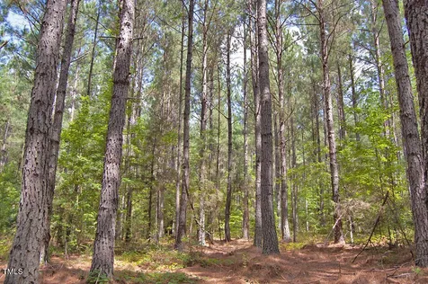 0 Buckhorn Road Bullock NC 27507