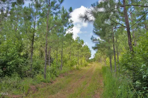 0 Buckhorn Road Bullock NC 27507