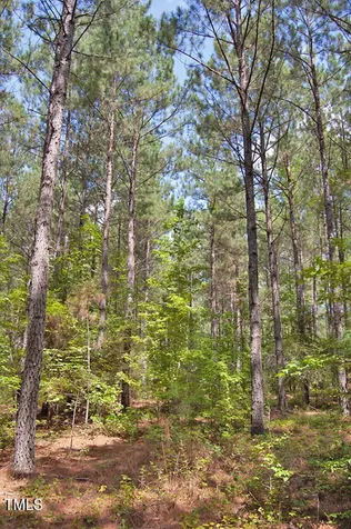 0 Buckhorn Road Bullock NC 27507